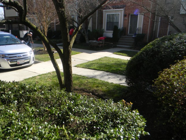 Premices de Printemps...