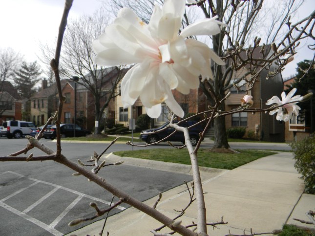 Si mars commence en courroux .Il finira tout doux, tout doux.