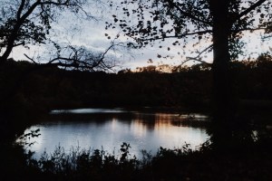Photo de Lydia Chebbine.  Automne Americain.  Octobre 2014.