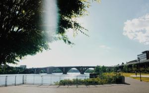 Le fleuve Potomac  Washington DC