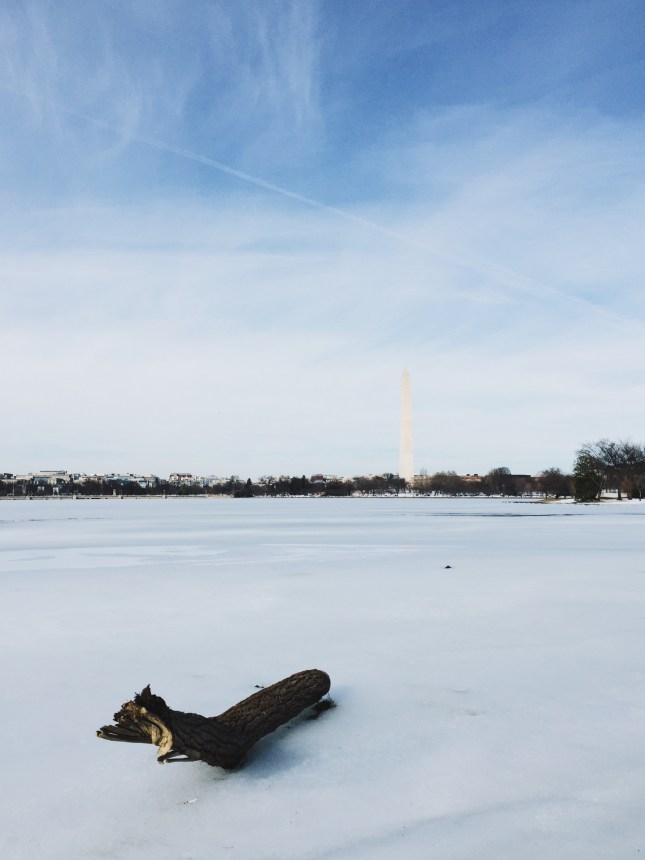 Processed with VSCOcam with a8 preset